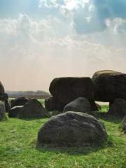 I have seven fairy g