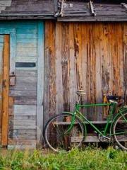 lt;Gingerly, Shen Qi