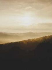 The Realm of the Dao