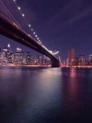 lt;Honor calls for N