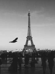 Cultivating My Empre