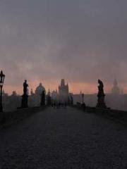 I have seven fairy g