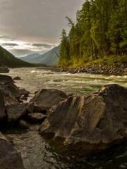 The Daring Wife of a