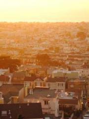 The Daring Wife of a