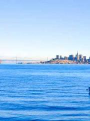 lt;lt;The Heavenly D