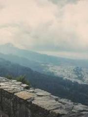 One Night of Indulge