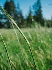 lt;gt;The son of a w