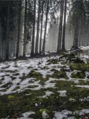 Girlfriends  lt;/pgt