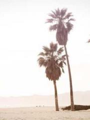 Crossing the Great Q